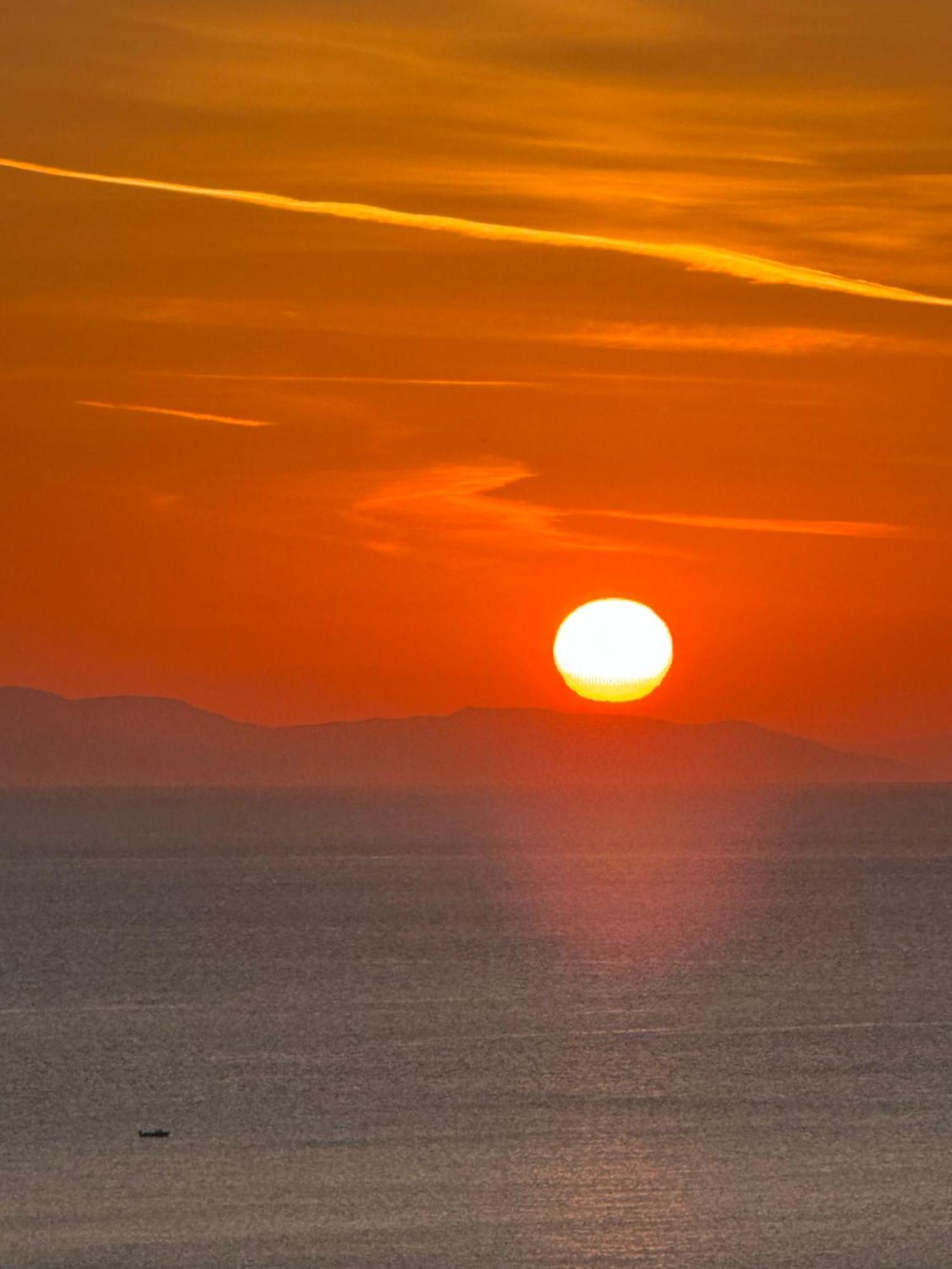 Blue Harmony Κίνι
